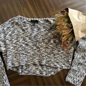 Forever 21 Dark Blue and White Knit Sweater